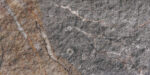 Rock Mottle Brown